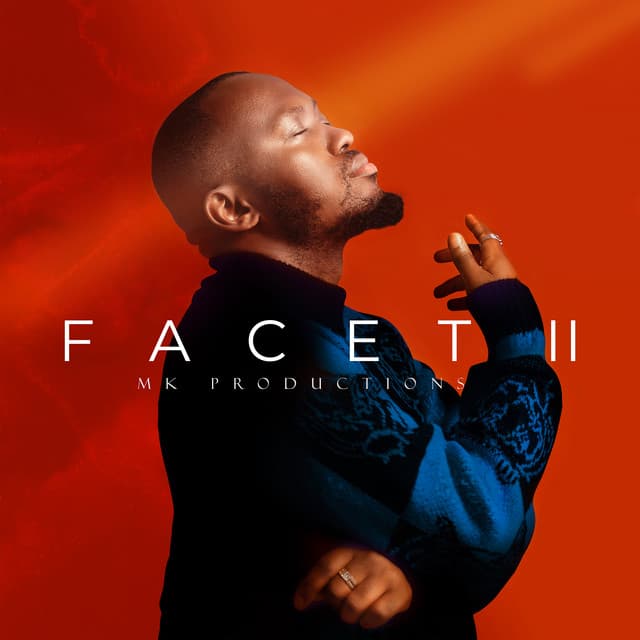 Facet 2